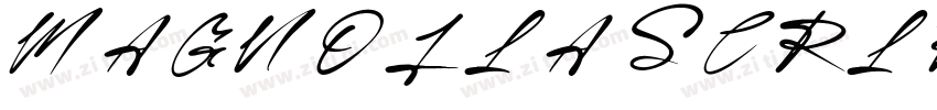 MAGNOLIA SCRIPTMEDIU字体转换